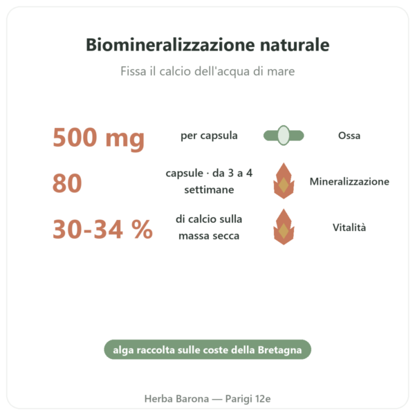 Lithothamnium bretone 500mg – 80 capsule – Vecteur Santé benefici e dati chiave Paris Herba Barona