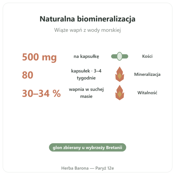 Lithothamnium bretońskie 500 mg – 80 kapsułek – Vecteur Santé korzyści i najważniejsze fakty Paris Herba Barona