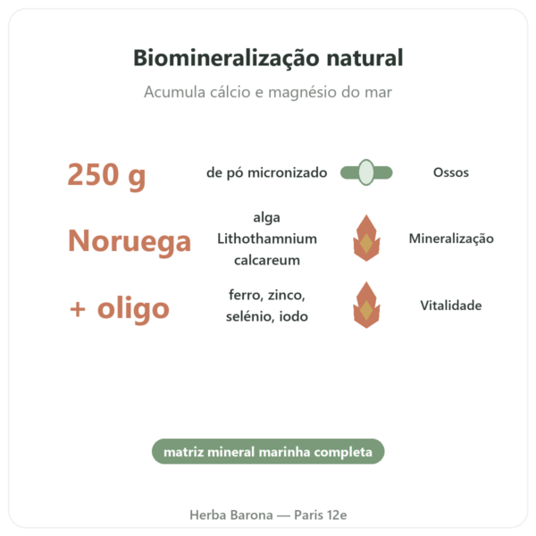 Lithothamnium em pó 250 g – Vecteur Santé benefícios e dados principais Paris Herba Barona