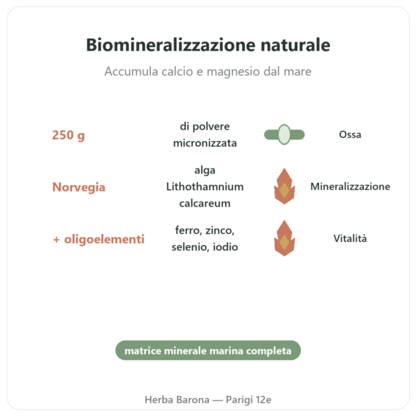 Lithothamnium in polvere 250 g - Vecteur Santé benefici e dati chiave Paris Herba Barona