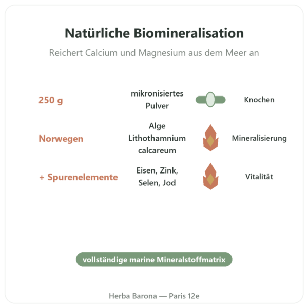 Lithothamnium-Pulver 250 g – Vecteur Santé Vorteile und Fakten Paris Herba Barona