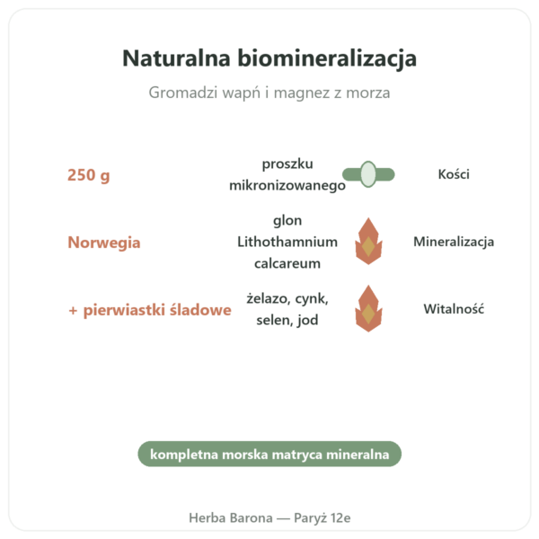 Lithothamnium w proszku 250 g - Vecteur Santé korzyści i najważniejsze fakty Paris Herba Barona