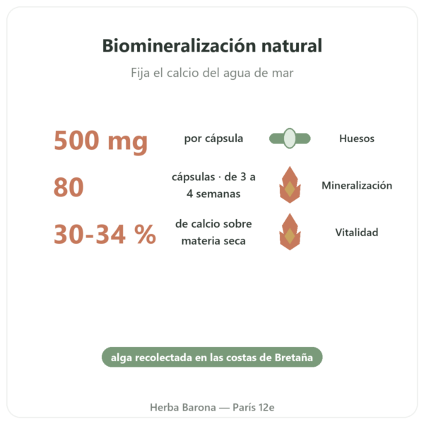 Litotamnio Bretón 500 mg – 80 Cápsulas – Vecteur Santé beneficios y datos clave Paris Herba Barona