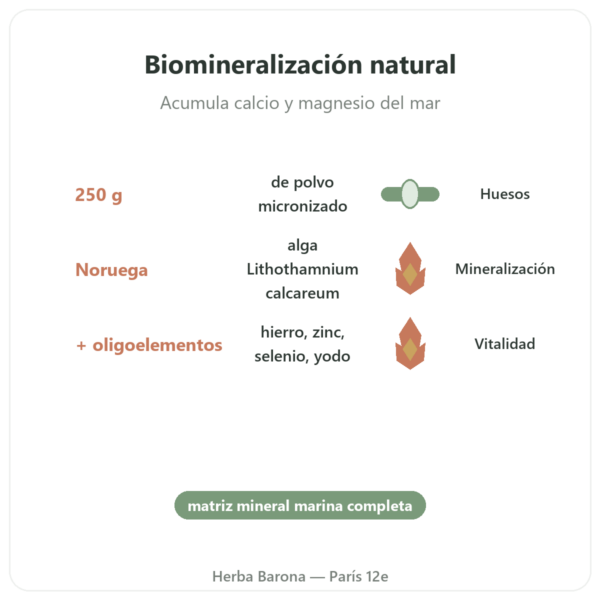 Litotamnio en Polvo – 250 g – Vecteur Santé beneficios y datos clave Paris Herba Barona