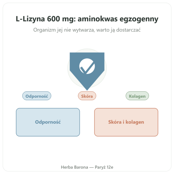L-lizyna 600 mg – Dynveo – 90 kapsułek – Niezbędny aminokwas prezentacja Paris Herba Barona