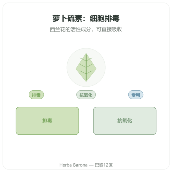 萝卜硫素 – 西兰花提取物 – Dynveo – 100 mg 产品展示 Paris Herba Barona