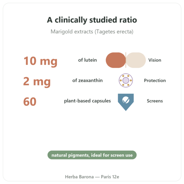 Lutein 10mg & Zeaxanthin 2mg – Dynveo – 60 capsules benefits and key facts Paris Herba Barona