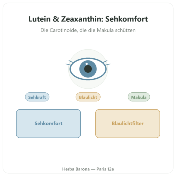 Lutein 10 mg Zeaxanthin 2 mg – Dynveo – 60 Kapseln Vorstellung Paris Herba Barona