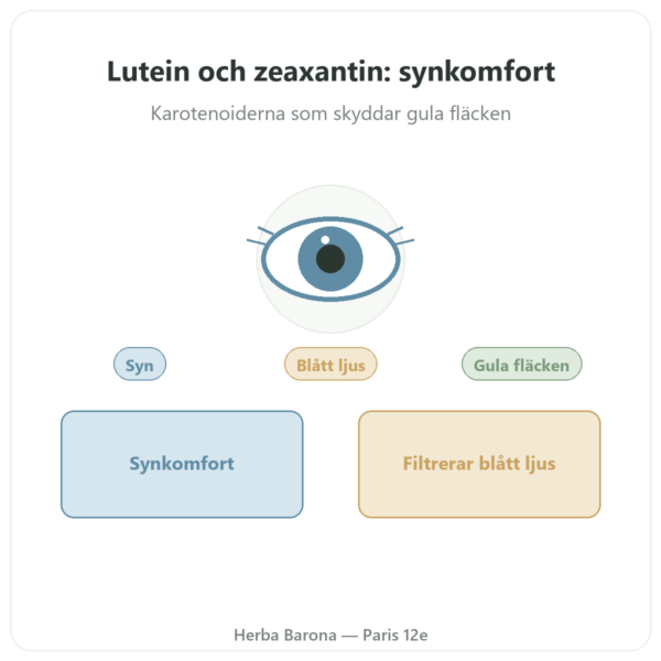 Lutein 10mg Zeaxantin 2mg – Dynveo – 60 kapslar presentation Paris Herba Barona