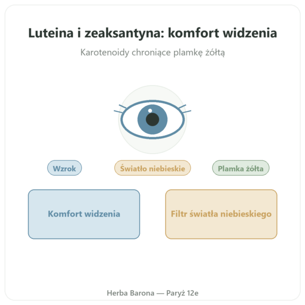 Luteina 10mg Zeaksantyna 2mg – Dynveo – 60 kaps. prezentacja Paris Herba Barona