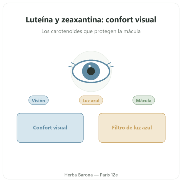 Luteína 10mg Zeaxantina 2mg – Dynveo – 60 cápsulas presentación Paris Herba Barona