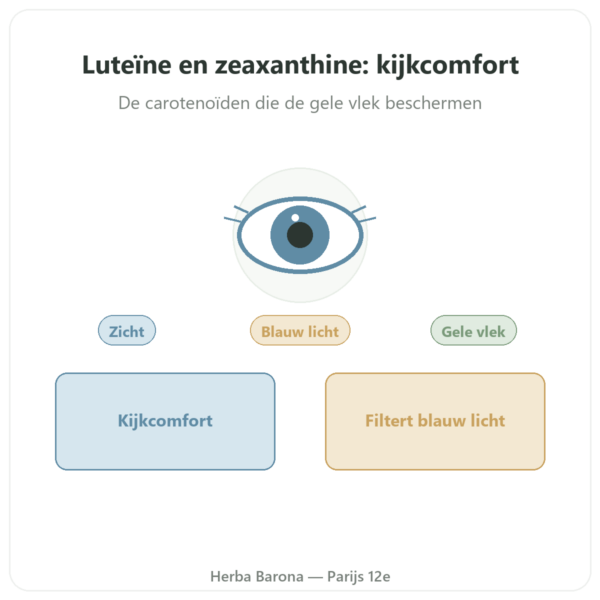 Luteïne 10mg Zeaxanthine 2mg Dynveo 60 capsules presentatie Paris Herba Barona