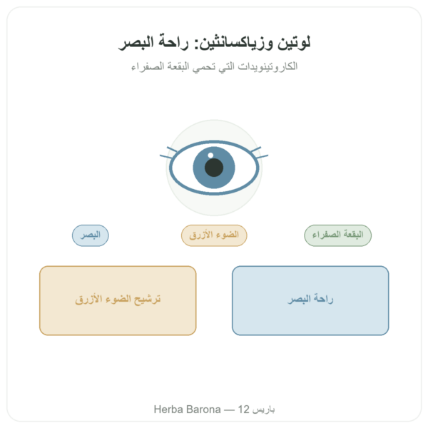 لوتين 10 ملغ زياكسانتين 2 ملغ – Dynveo – 60 كبسولة عرض المنتج Paris Herba Barona