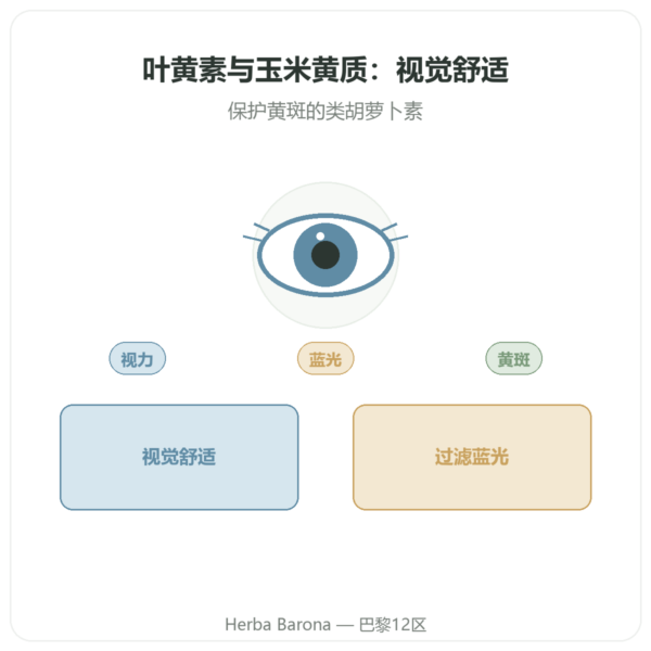 叶黄素 10mg 玉米黄质 2mg – Dynveo – 60 粒胶囊 产品展示 Paris Herba Barona