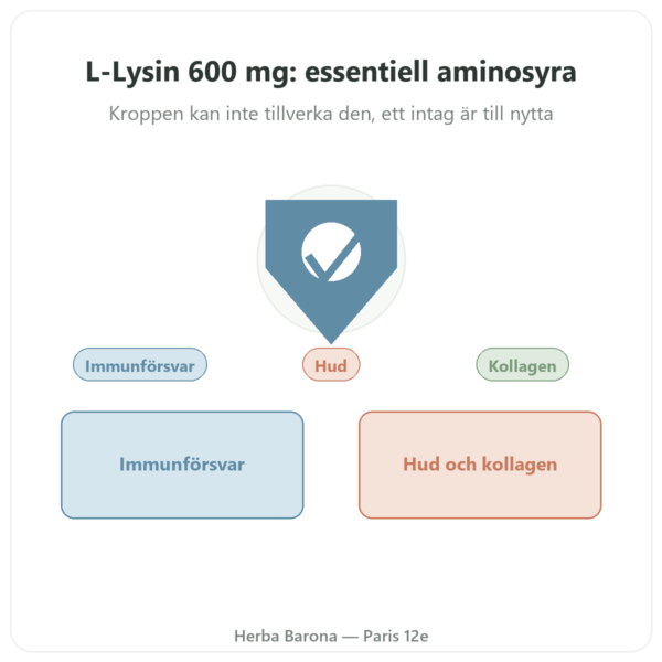 L-Lysin 600 mg – Dynveo – 90 kapslar – Essentiell aminosyra presentation Paris Herba Barona
