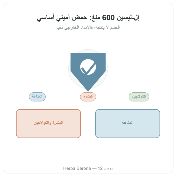 L-Lysine 600 mg – Dynveo – 90 كبسولة – حمض أميني أساسي عرض المنتج Paris Herba Barona