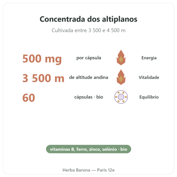 Maca bio concentrada 500mg – 60 cápsulas DYNVEO benefícios e dados principais Paris Herba Barona
