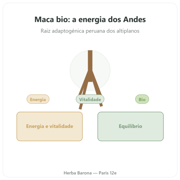Maca bio concentrada 500mg – 60 cápsulas DYNVEO apresentação Paris Herba Barona
