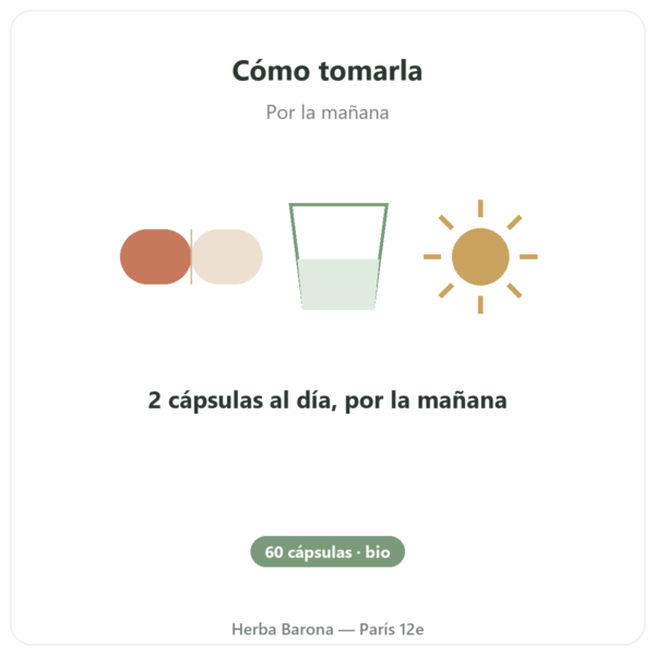 Maca BIO concentrada 500mg – 60 cápsulas – Dynveo modo de empleo y dosis Paris Herba Barona