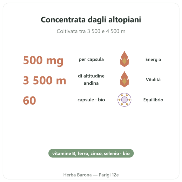Maca bio concentrata 500mg – 60 capsule DYNVEO benefici e dati chiave Paris Herba Barona