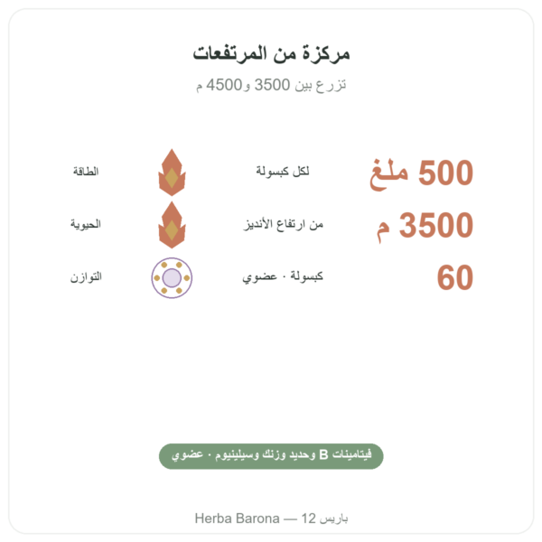 مسحوق الماكا العضوية المركزة 500mg – 60 كبسولة من DYNVEO الفوائد والمعطيات الرئيسية Paris Herba Barona