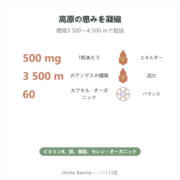 DYNVEO オーガニック 濃縮マカ 500mg – 60カプセル benefits and key facts Paris Herba Barona