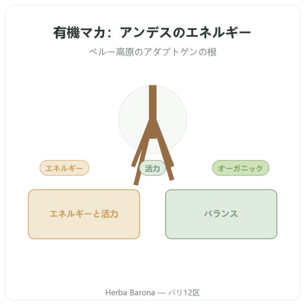 DYNVEO オーガニック 濃縮マカ 500mg – 60カプセル presentation Paris Herba Barona