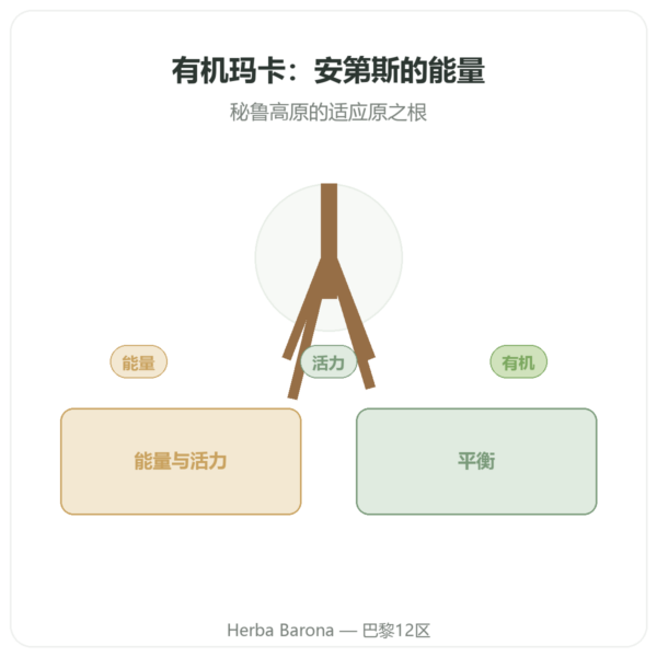 有机浓缩玛咖 500mg – 60粒胶囊 DYNVEO 产品展示 Paris Herba Barona