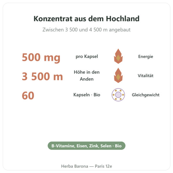 Maca Bio konzentriert – Dynveo – 500 mg – 60 Kapseln Vorteile und Fakten Paris Herba Barona