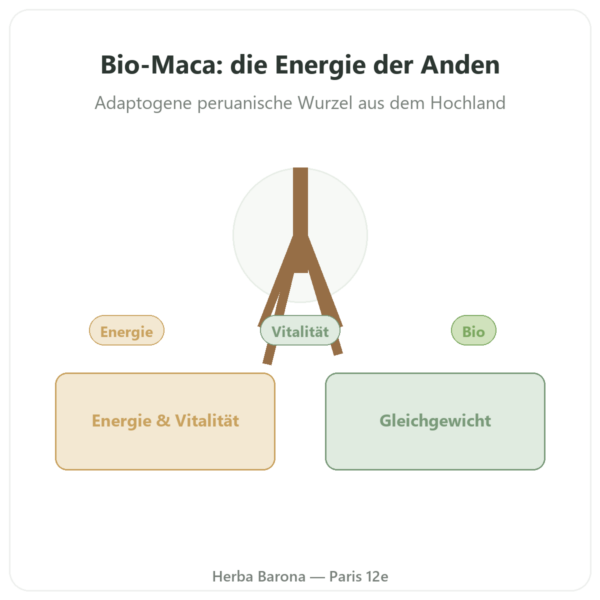 Maca Bio konzentriert – Dynveo – 500 mg – 60 Kapseln Vorstellung Paris Herba Barona
