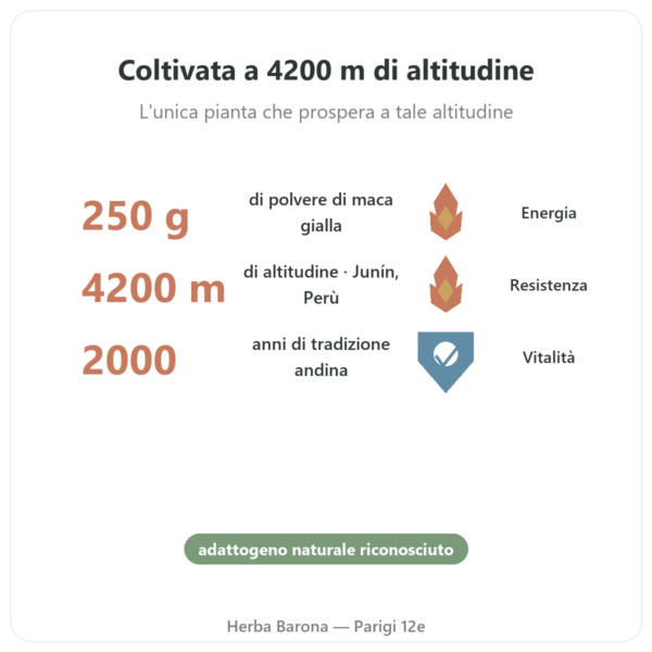 Maca Bio in polvere Pederoso – Saldac – 250 g benefici e dati chiave Paris Herba Barona