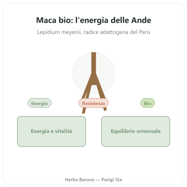 Maca Bio in polvere Pederoso – Saldac – 250 g presentazione Paris Herba Barona