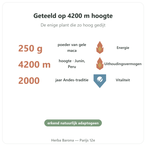 Maca Bio poeder Pederoso – Saldac – 250 g voordelen en kerngegevens Paris Herba Barona