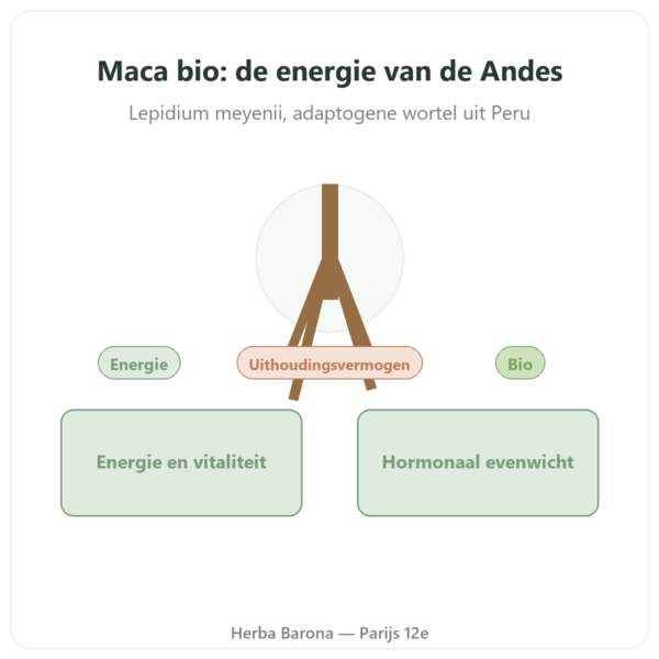 Maca Bio poeder Pederoso – Saldac – 250 g presentatie Paris Herba Barona