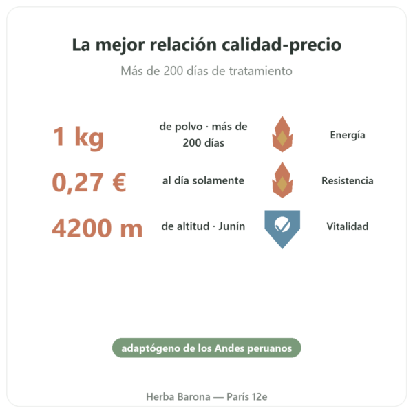 Maca Bio en Polvo Pederoso – Saldac – 1 kg beneficios y datos clave Paris Herba Barona