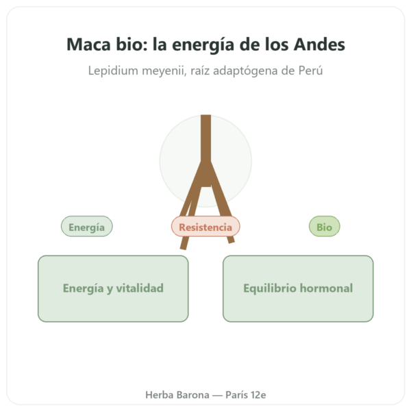 Maca Bio en Polvo Pederoso – Saldac – 250 g presentación Paris Herba Barona