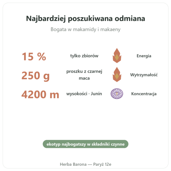 Maca Czarna Bio w proszku Pederoso – Saldac – 250 g korzyści i najważniejsze fakty Paris Herba Barona