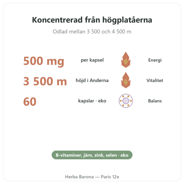 Ekologisk koncentrerad Maca 500 mg – 60 kapslar från DYNVEO fördelar och nyckelfakta Paris Herba Barona