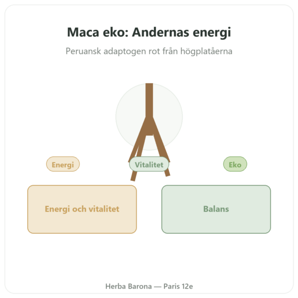 Ekologisk koncentrerad Maca 500 mg – 60 kapslar från DYNVEO presentation Paris Herba Barona