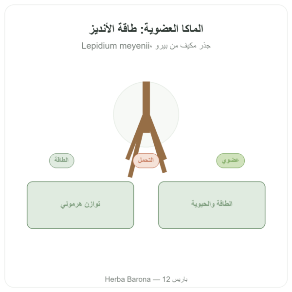 ماكا عضوية مسحوق Pederoso – Saldac – 250 غ عرض المنتج Paris Herba Barona