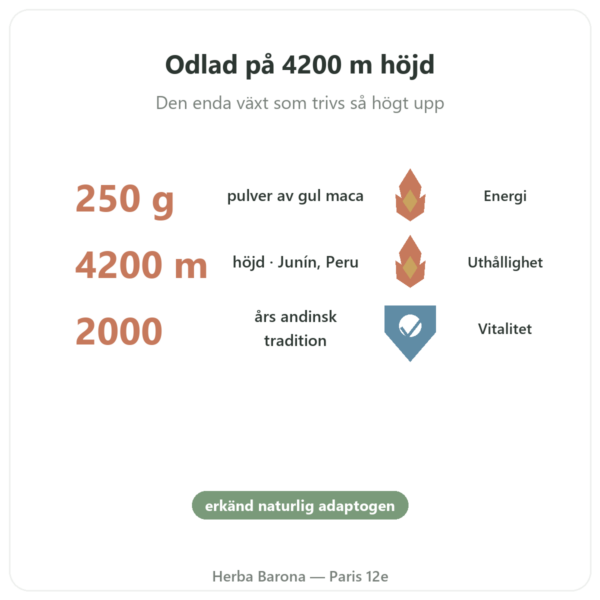 Maca Bio pulver Pederoso – Saldac – 250 g fördelar och nyckelfakta Paris Herba Barona