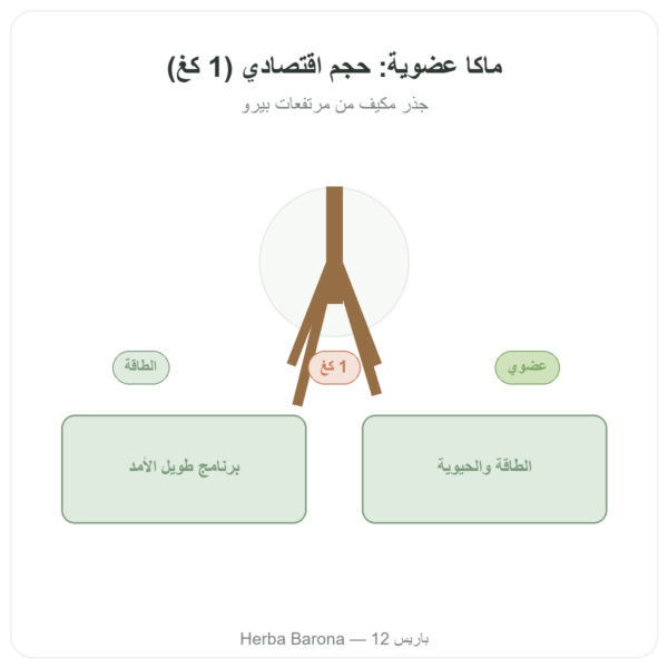 ماكا عضوية بودرة Pederoso – Saldac – 1 كغ عرض المنتج Paris Herba Barona