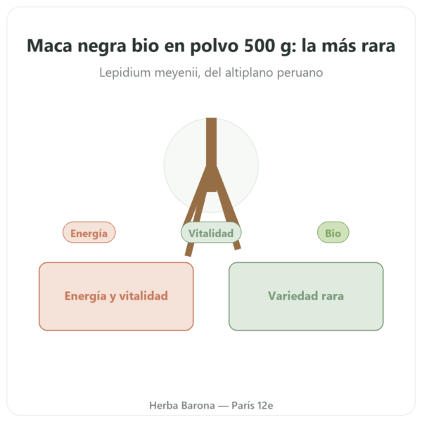 Maca Negra Bio en Polvo – Energy Feelings – 500 g presentación Paris Herba Barona