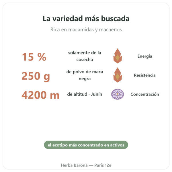 Maca Negra Bio en Polvo Pederoso – Saldac – 250 g beneficios y datos clave Paris Herba Barona