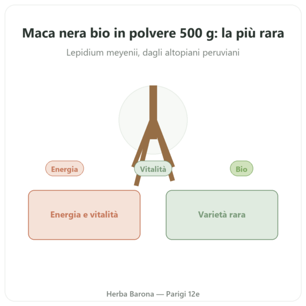 Maca Nera Bio in Polvere – Energy Feelings – 500 g presentazione Paris Herba Barona
