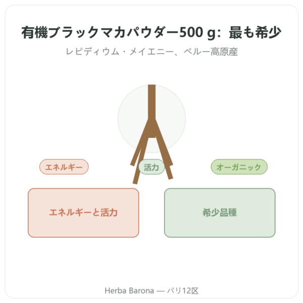 有機ブラックマカ パウダー – Energy Feelings – 500 g presentation Paris Herba Barona
