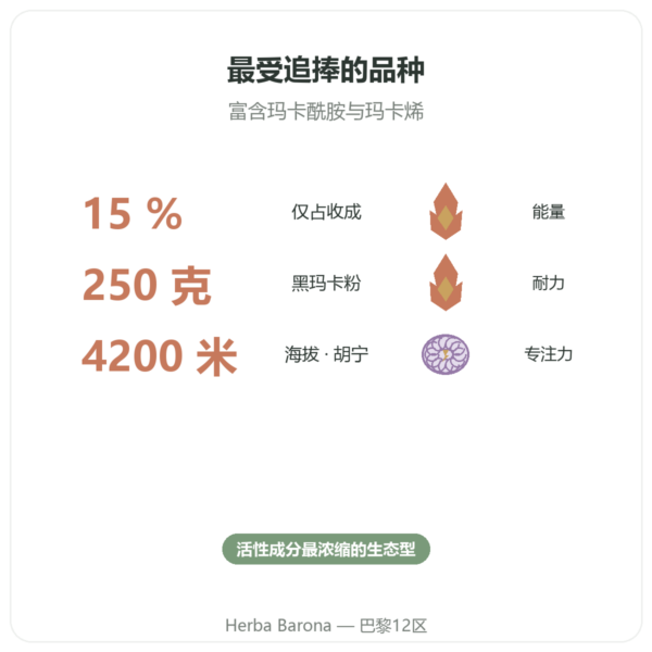 有机黑玛卡粉 Pederoso – Saldac – 250 克 功效与数据 Paris Herba Barona
