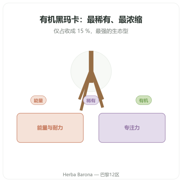 有机黑玛卡粉 Pederoso – Saldac – 250 克 产品展示 Paris Herba Barona