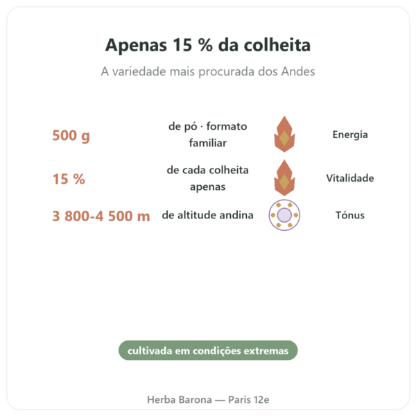 Maca Preta Bio em pó – Energy Feelings – 500 g benefícios e dados principais Paris Herba Barona