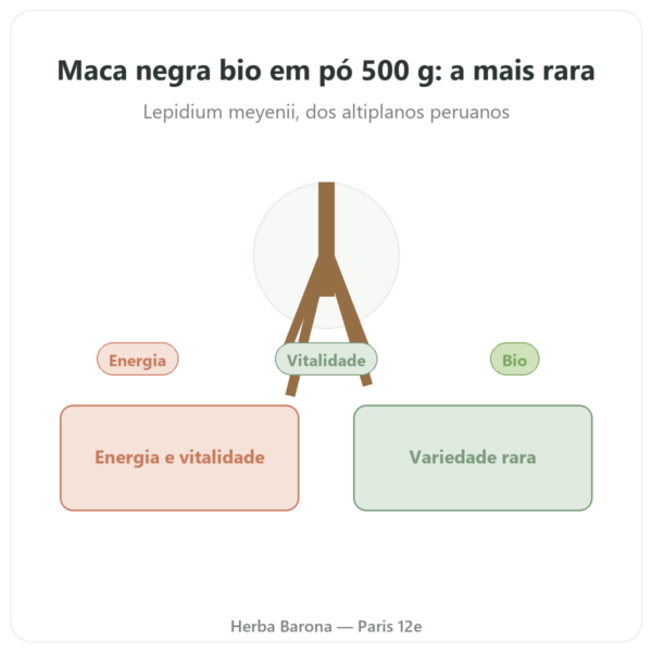 Maca Preta Bio em pó – Energy Feelings – 500 g apresentação Paris Herba Barona